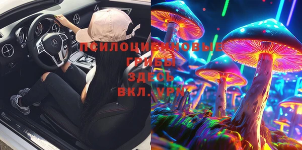 молекула духа Нефтекумск